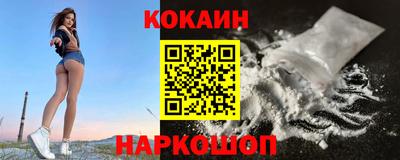 стаф Дубна