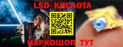стаф Дубна