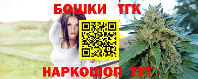 стаф Дубна