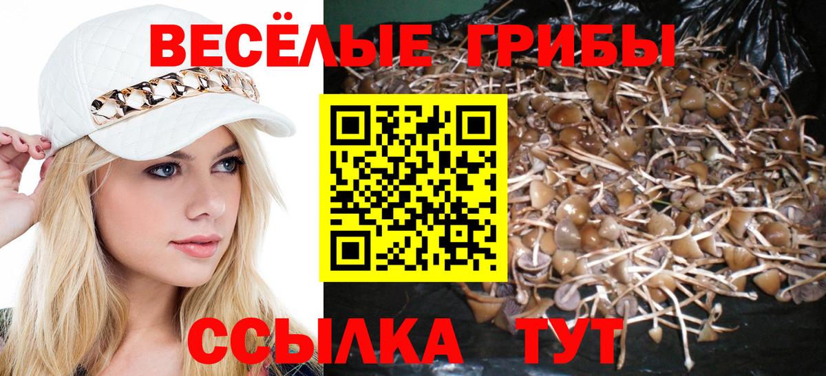 Метамфетамин Миллерово