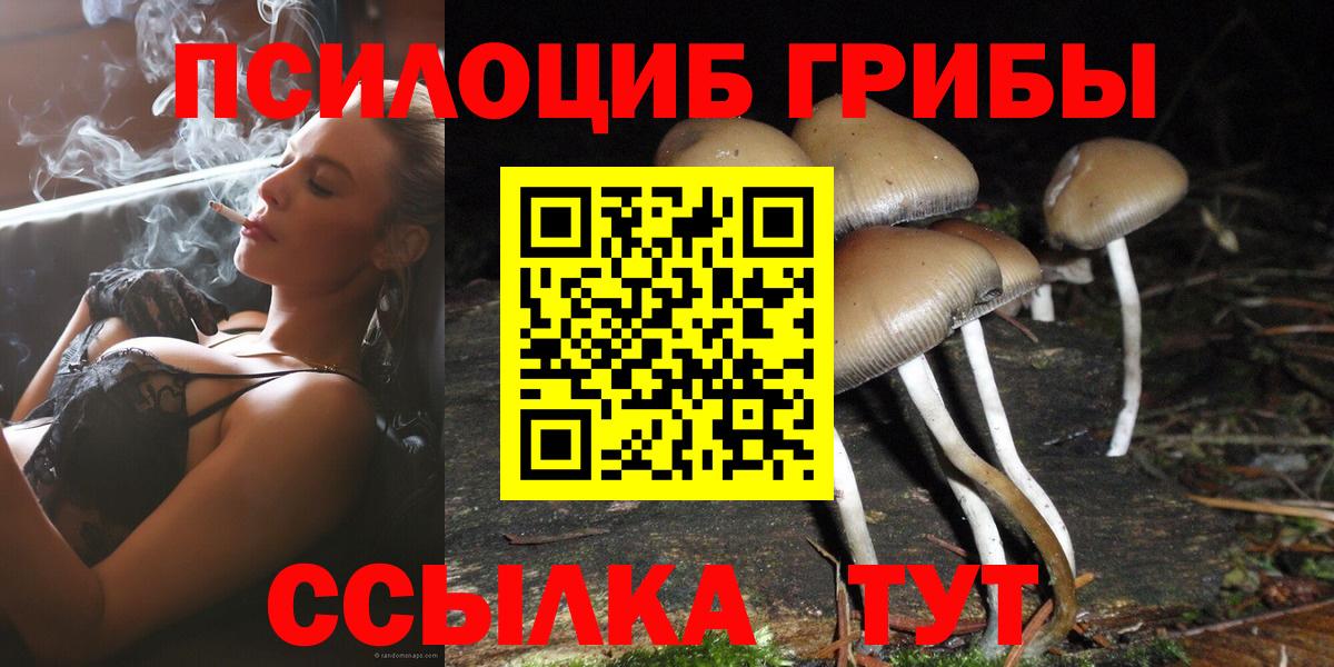 Миллерово  Псилоцибиновые грибы GOLDEN TEACHER  Вход с VPN 
