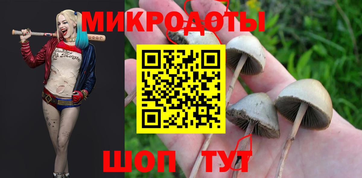 Псилоцибиновые грибы мухоморы Миллерово